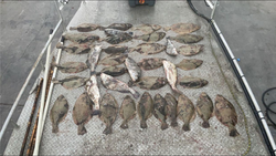 Flounder Fishin' frenzy in Aransas Pass!